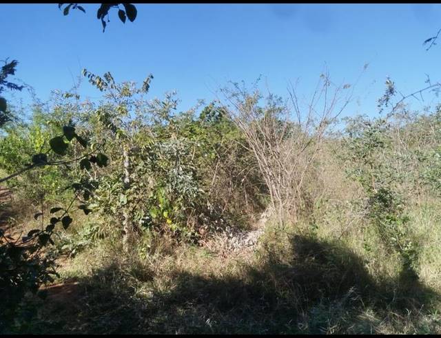 FARM FOR SALE IN TSWINGA
